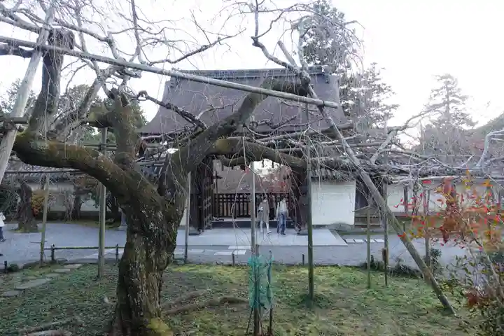 毘沙門堂門跡(京都府)