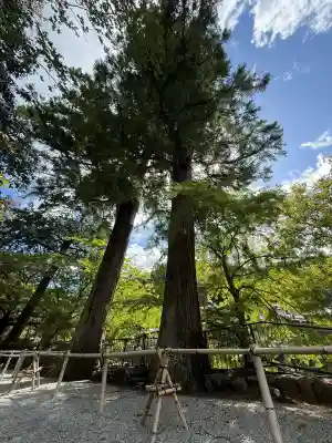室生寺(奈良県)