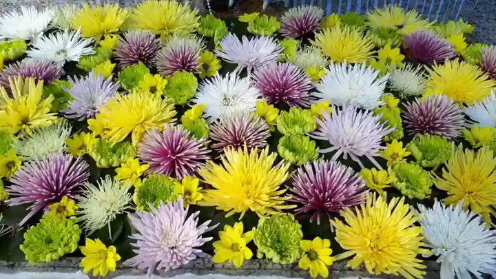 長良神社の手水舎