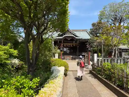 白山神社の{uncategorized: "未分類", other: "その他", undefined: "問題あり", building: "その他建物", grave: "お墓", sacred_gate: "鳥居", guardian: "狛犬", statue: "像", buddha: "仏像", history: "歴史", nature: "自然", garden: "庭園", animal: "動物", pagoda: "塔", temizu: "手水舎", mountain_gate: "山門・神門", sanctuary: "本殿・本堂", subordinate: "末社・摂社", art: "芸術", scenery: "景色", jizo: "地蔵", ema: "絵馬", goshuin: "御朱印", omikuji: "おみくじ", items: "授与品その他", amulet: "お守り", goshuincho: "御朱印帳", eats: "食事", festival: "お祭り", votive_dance: "神楽", shichigosan: "七五三参", wedding: "結婚式", experience: "体験その他", initially: "初詣", around: "周辺", anti_infection: "感染症対策"}
