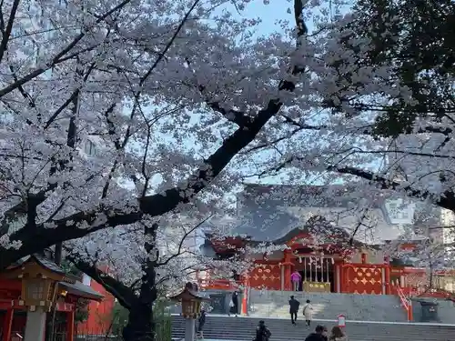 花園神社の自然
