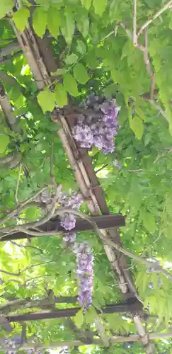 笠間稲荷神社の自然