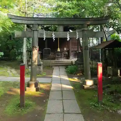 赤坂氷川神社の鳥居