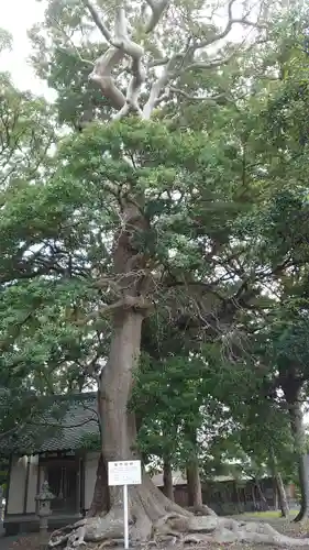 高松宮竹神社(静岡県)