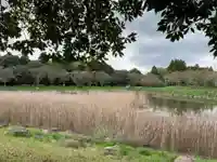 弁天神社の自然