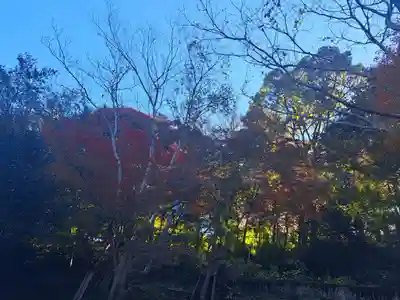 日向大神宮(京都府)