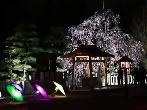 浅間神社の景色