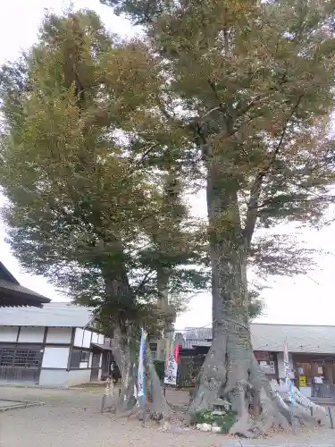 八枝神社(埼玉県)
