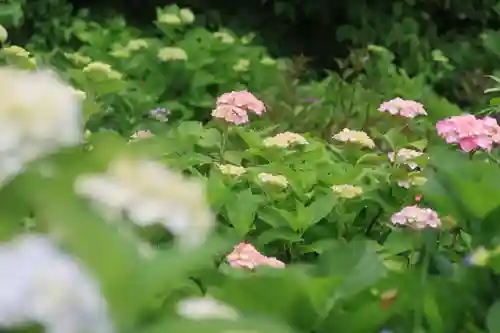 豊景神社の庭園