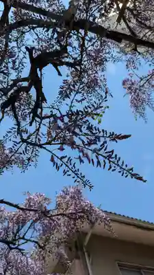 妙壽禅寺（妙寿寺）(大阪府)