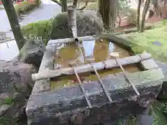 今熊野観音寺(京都府)