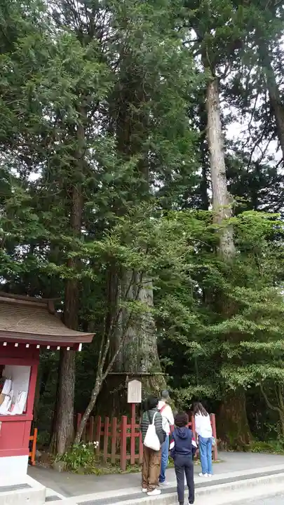 箱根神社(神奈川県)
