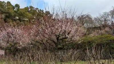  智積院(京都府)