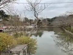 鶴岡八幡宮の庭園