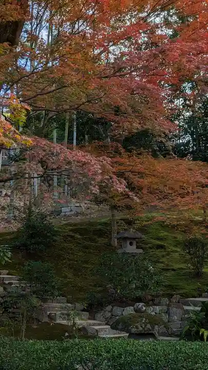 榮攝院(栄摂院)(京都府)
