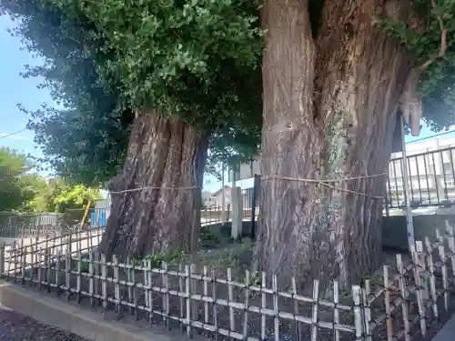 依知神社(神奈川県)