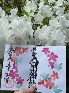 白山神社の御朱印 2022年05月01日(日)〜(2022年05月15日(日) 11時17分18秒投稿)