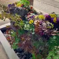滑川神社 - 仕事と子どもの守り神の手水舎