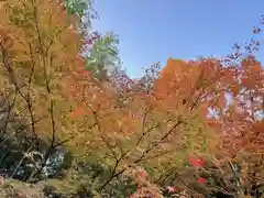 鍬山神社の自然