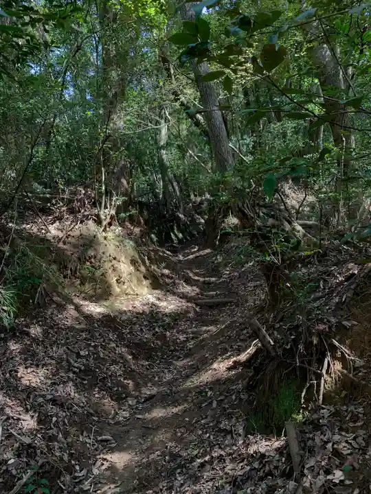 浅間神社の自然