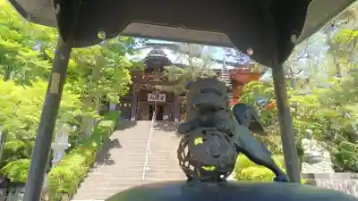 岩殿山安楽寺(吉見観音)の狛犬