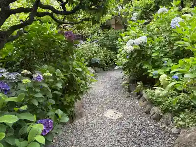 頼光寺(兵庫県)