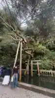 鹿島神宮(茨城県)