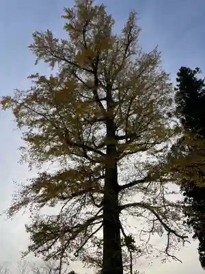 秋保神社(宮城県)