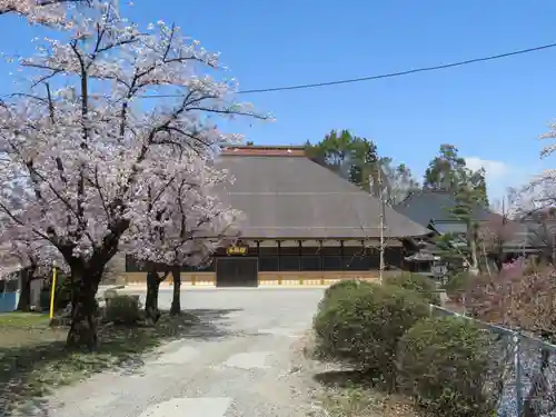 広厳院の庭園