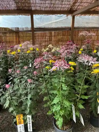 鹿島神宮(茨城県)