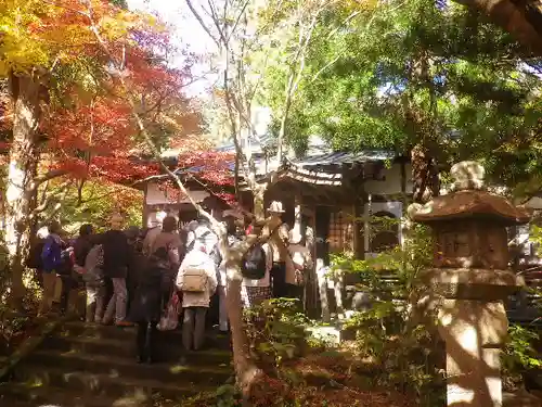 覚園寺の庭園