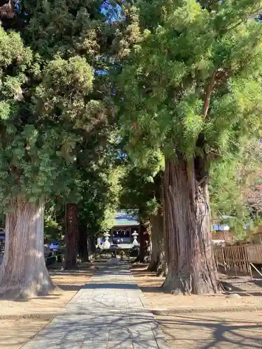 河口浅間神社のその他建物