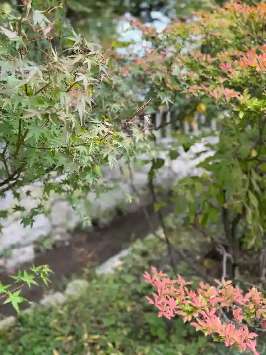 穂高神社本宮(長野県)