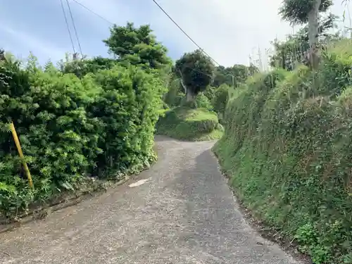 安房大杉神社の周辺