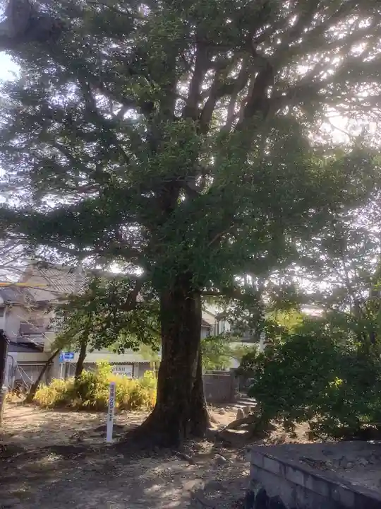 笠覆寺 (笠寺観音)の自然