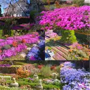 寿量山 速成寺(奈良県)(2023年04月04日(火) 18時21分31秒投稿)