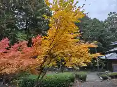 真禅院(岐阜県)