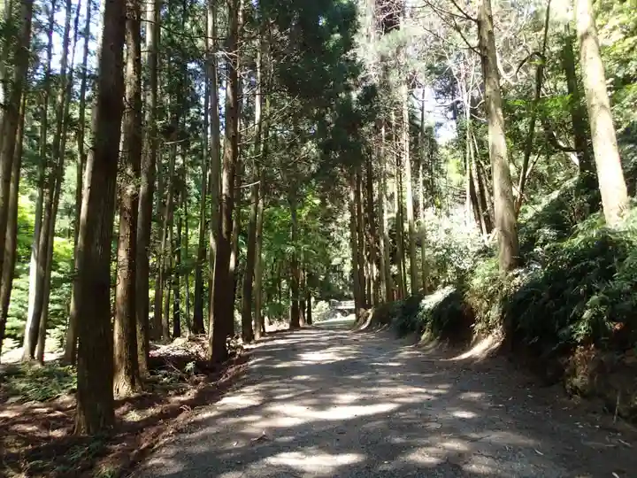 大穴持御子神社(出雲大社摂社)のその他建物