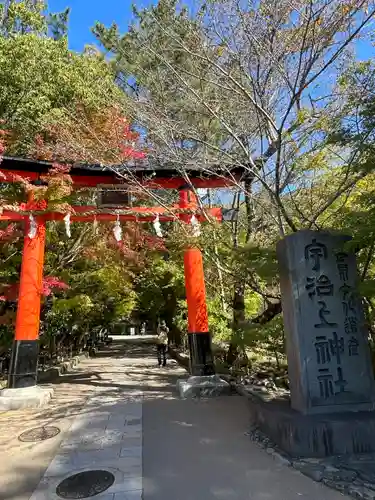 宇治上神社の鳥居