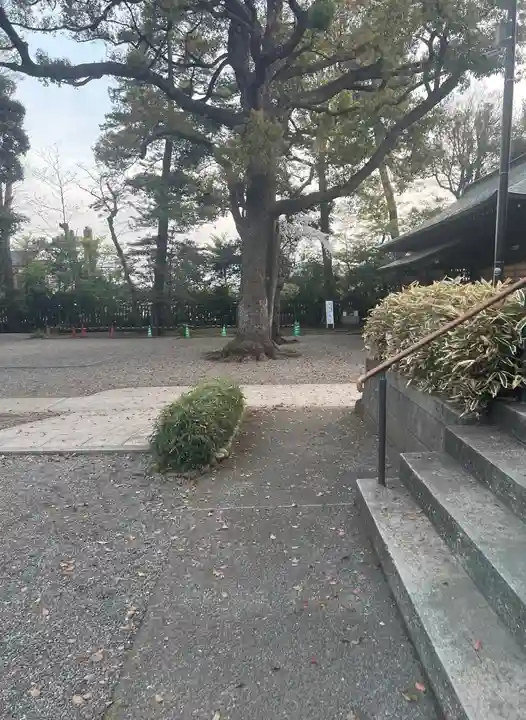 井草八幡宮(東京都)