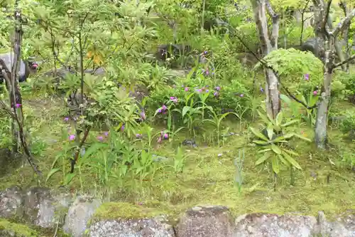 西應寺(滋賀県)