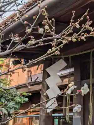高円寺天祖神社(東京都)