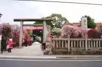小村井 香取神社の鳥居