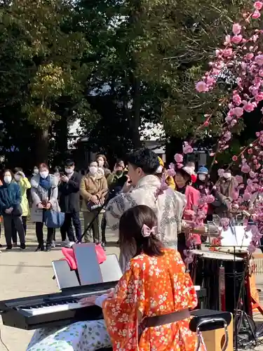 曽根天満宮の神楽