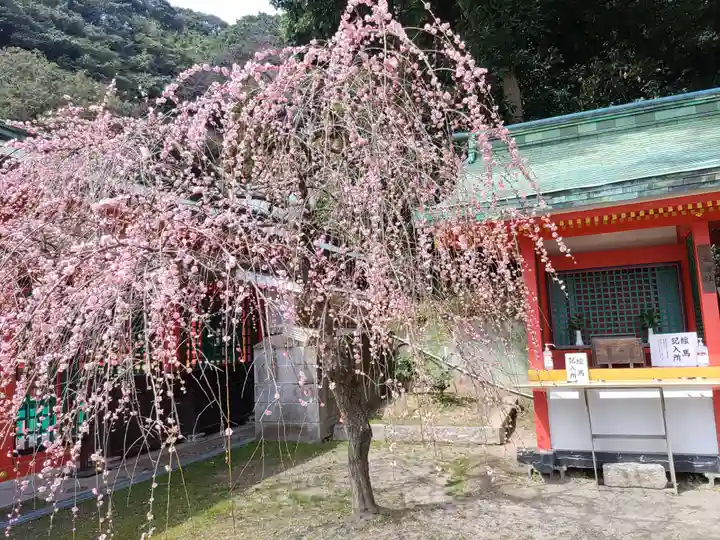 赤間神宮(山口県)