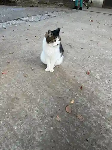代々木八幡宮(東京都)