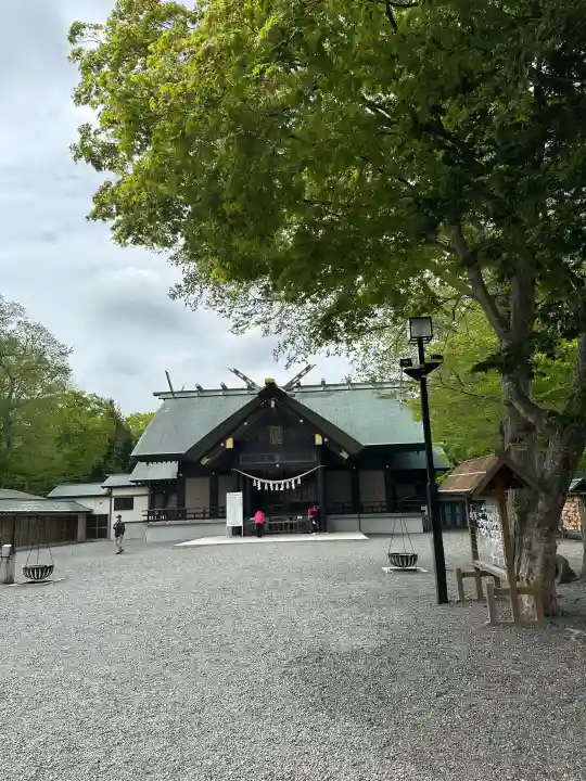 千歳神社の{uncategorized: "未分類", other: "その他", undefined: "問題あり", building: "その他建物", grave: "お墓", sacred_gate: "鳥居", guardian: "狛犬", statue: "像", buddha: "仏像", history: "歴史", nature: "自然", garden: "庭園", animal: "動物", pagoda: "塔", temizu: "手水舎", mountain_gate: "山門・神門", sanctuary: "本殿・本堂", subordinate: "末社・摂社", art: "芸術", scenery: "景色", jizo: "地蔵", ema: "絵馬", goshuin: "御朱印", omikuji: "おみくじ", items: "授与品その他", amulet: "お守り", goshuincho: "御朱印帳", eats: "食事", festival: "お祭り", votive_dance: "神楽", shichigosan: "七五三参", wedding: "結婚式", experience: "体験その他", initially: "初詣", around: "周辺", anti_infection: "感染症対策"}