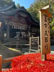 北口本宮冨士浅間神社(山梨県)