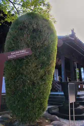 寛永寺(根本中堂)(東京都)