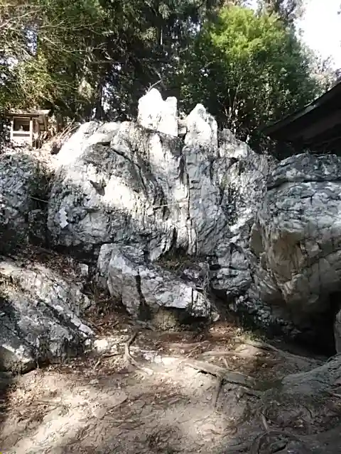 鹿島大神宮の自然